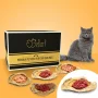Fix-BARF® Monthly Package for Allergic Cats – Image 1 / 1