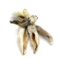 Oreilles de Lapin avec Fourrure (Séchées) – Image 1 / 1